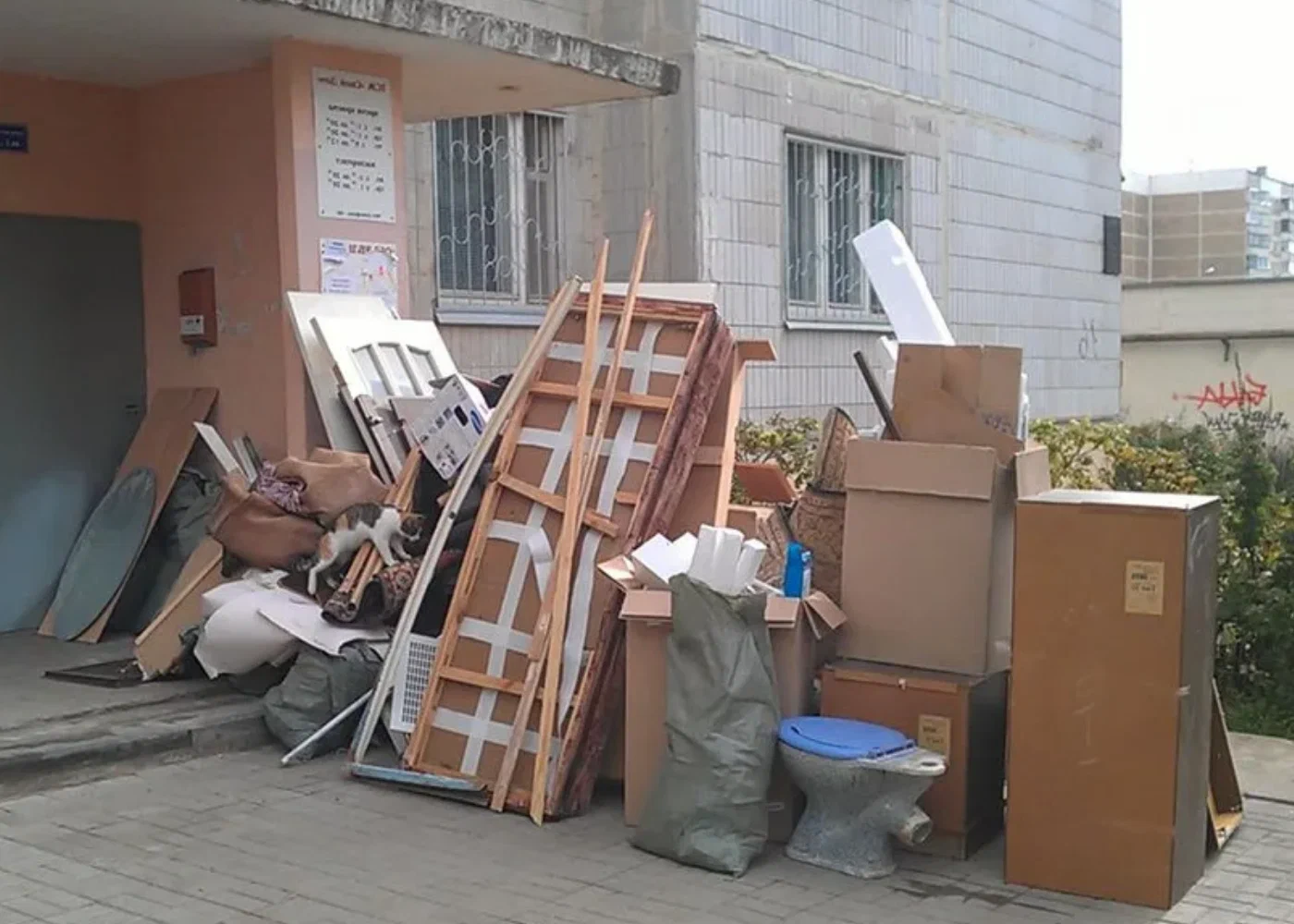 Профессиональный вывоз мусора из квартиры в Набережных Челнах в октябре