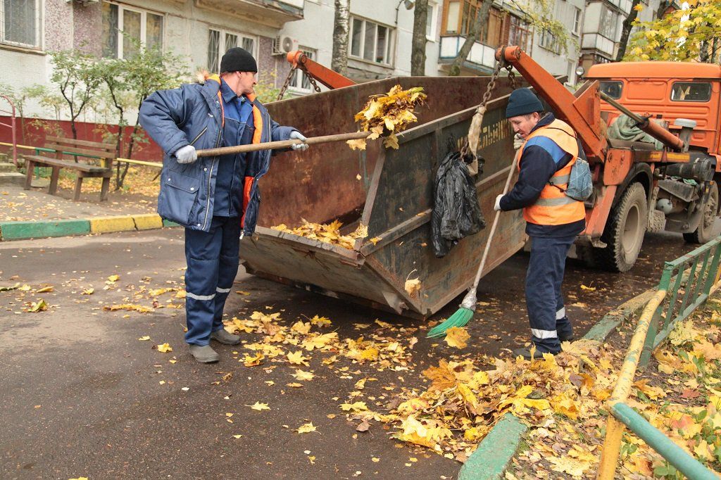 Вывоз опавшей листвы и растительного мусора в Набережных Челнах от ПроМусор – цена от 4571 руб., быстрая уборка и утилизация
